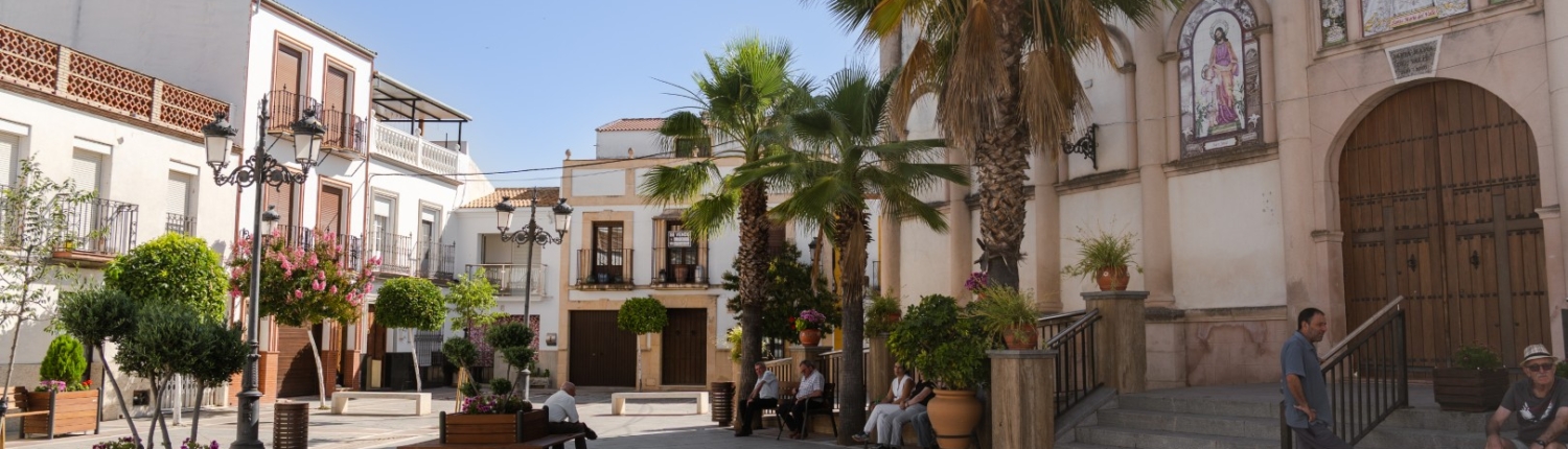 meson_sabor_andaluz_que_hacer202601